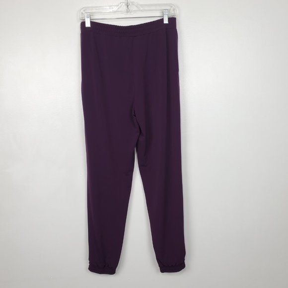 Susan Graver Eggplant Purple Liquid Knit Pull-On Zip Ankle Jogger Pants Size XS - Picture 6 of 14